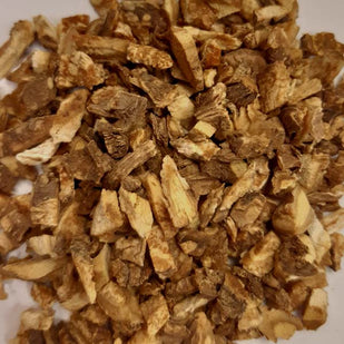 Angelica Sinensis 