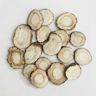 Radix Angelicae Dahuricae